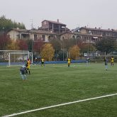 Pulcini 2007 Vighenzi Calcio